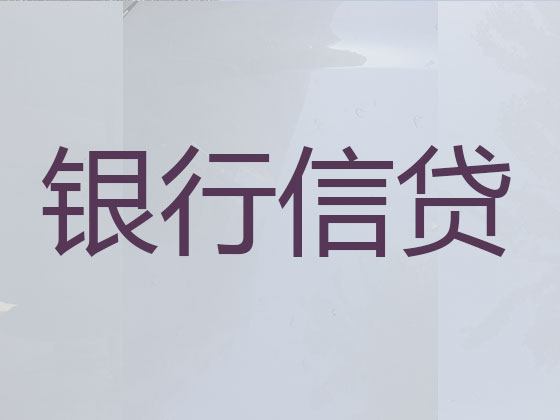 天长贷款中介公司